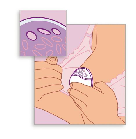 Conchas Protectoras Philips Avent Protectoras y Recolectoras